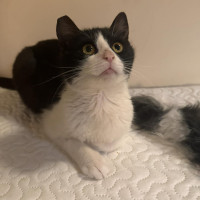 /album/268/whatsapp-image-2026-04-28-at-18-59-52-2-jpeg/